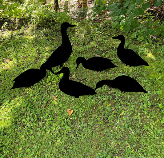 Batch of decoys for duck hunting