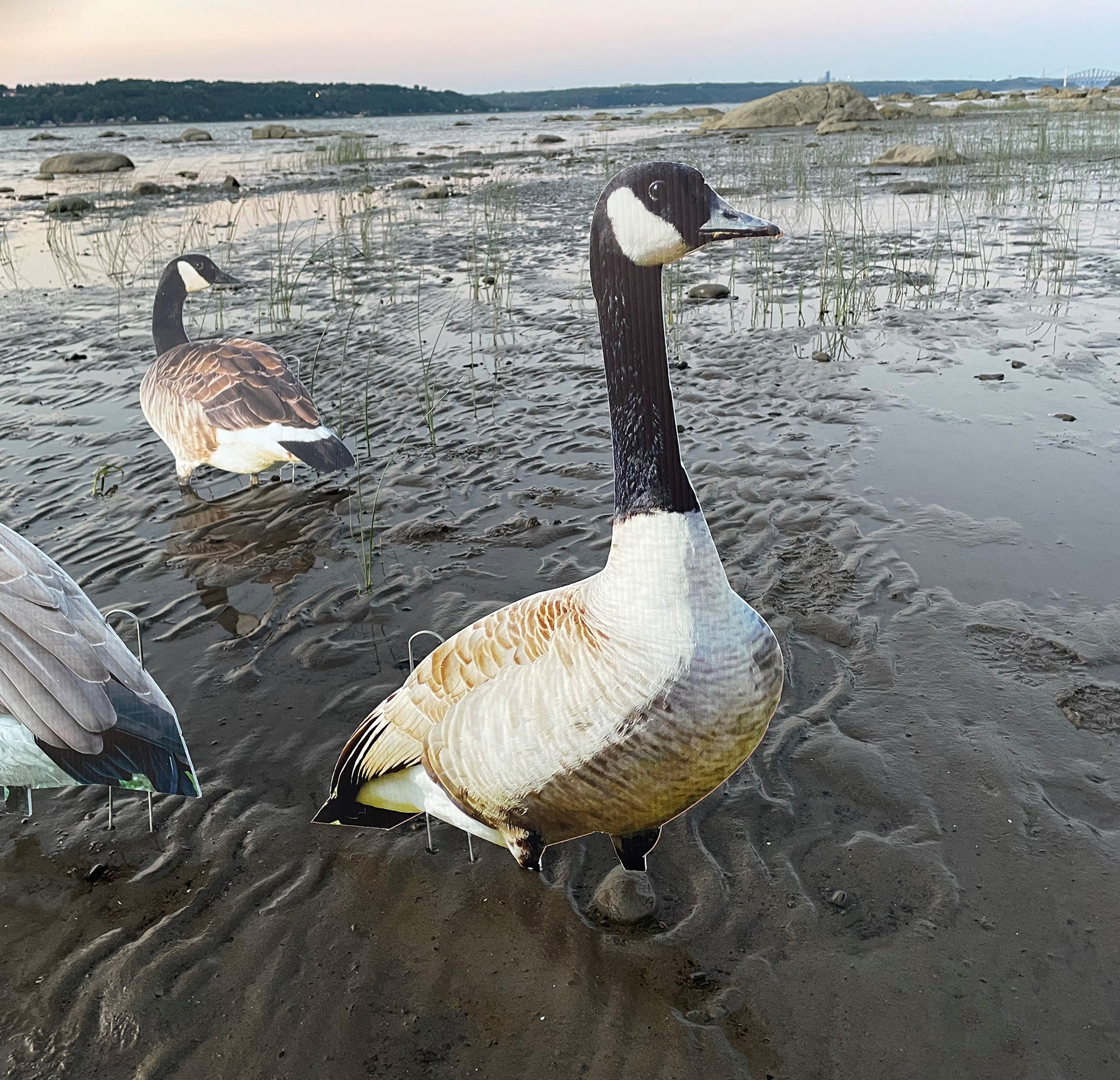 Appelants outardes fabriqués au Québec