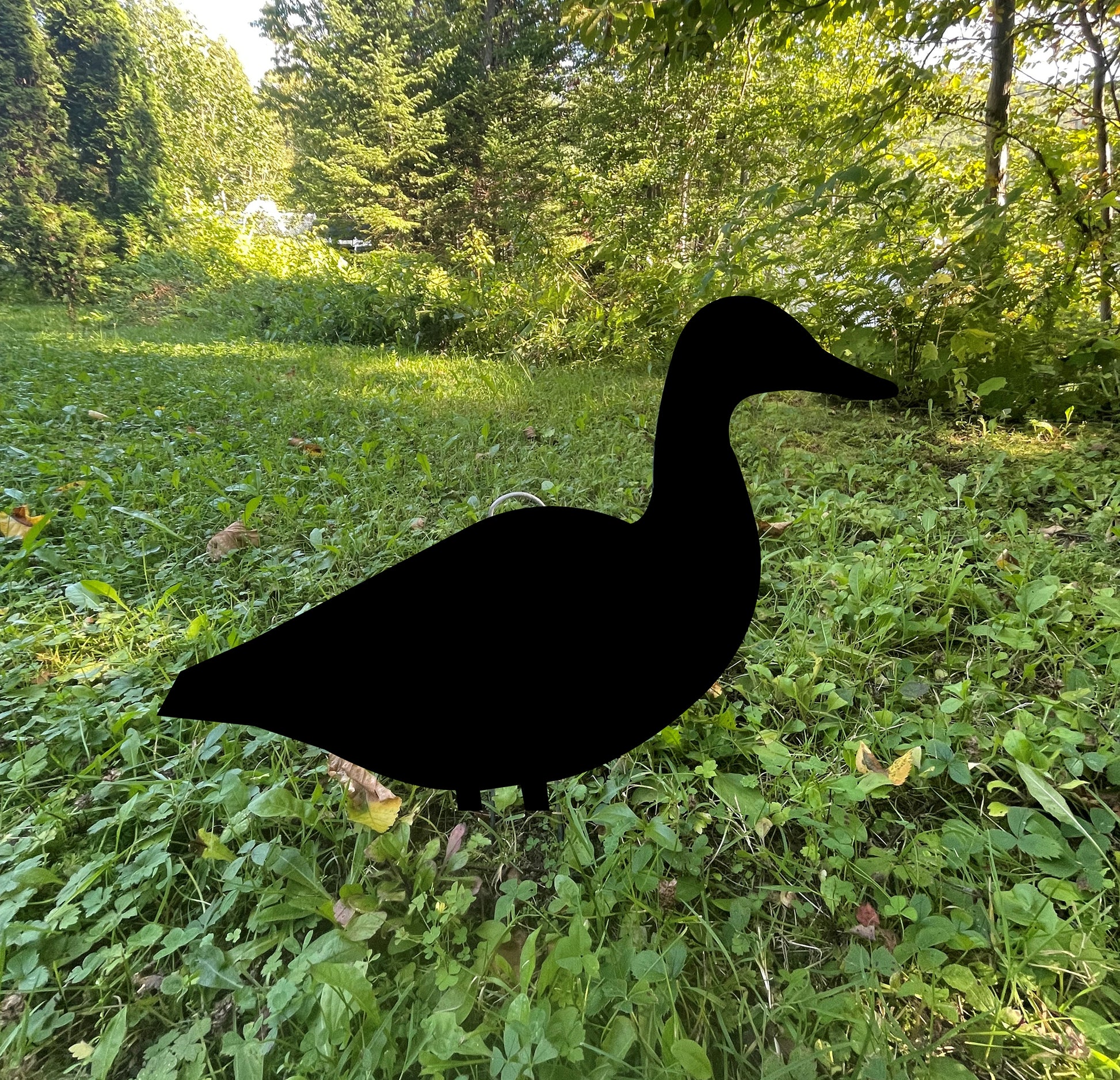 Leurres oiseaux migratoires Québec