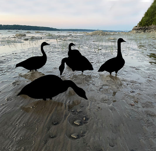 Leurres chasse à l'outarde - oiseaux migrateurs